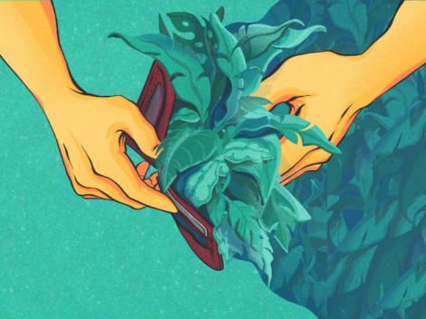 Illustration of wallet filled with greens.