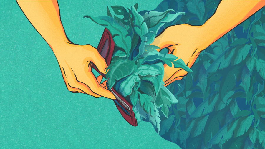 Illustration of wallet filled with greens.