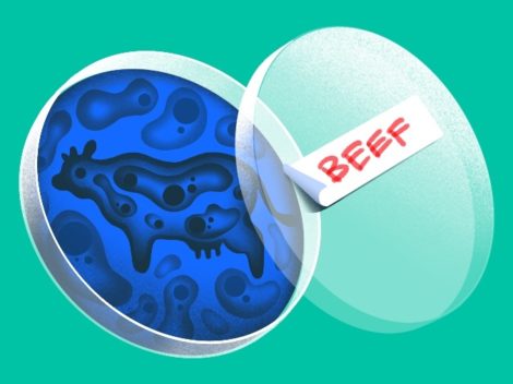 Illustration of a petri dish with a rendering of a cow and labeled "Beef"