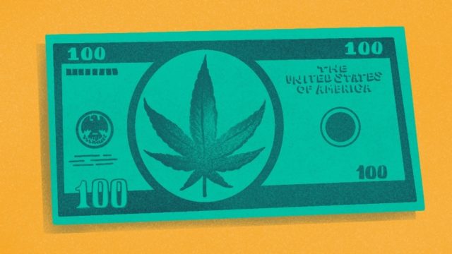 Illustration of $100 bill with Cannabis plant art