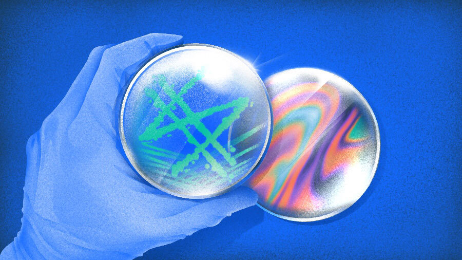 Illustration of petri dish with psychedelic dollar sign and swirls.