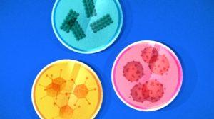 Illustration of petri dishes with various viruses.