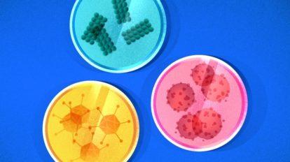 Illustration of petri dishes with various viruses.