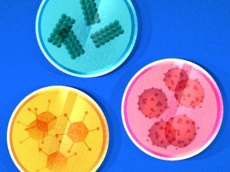 Illustration of petri dishes with various viruses.