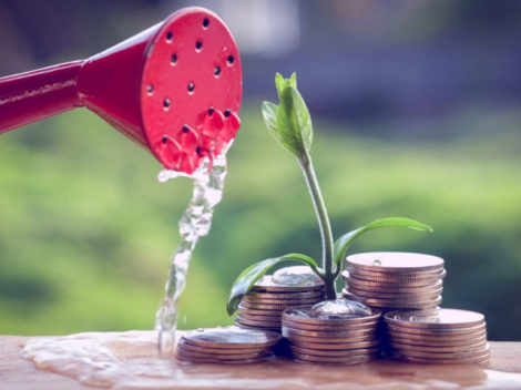 Watering plant growing from a pile of money