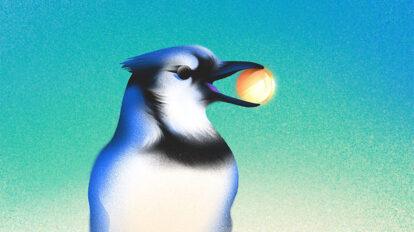 Bird with coin - Seed funding.