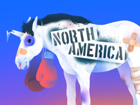 Illustration of injured unicorn for quarterly N.A.